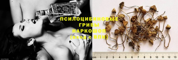 тгк Михайловка