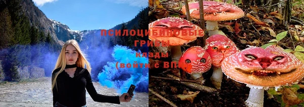 тгк Михайловка