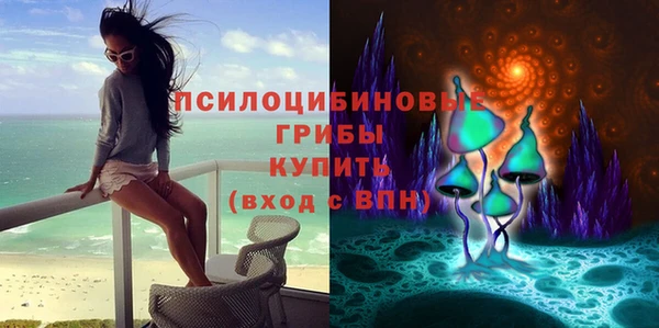 экстази Михайлов