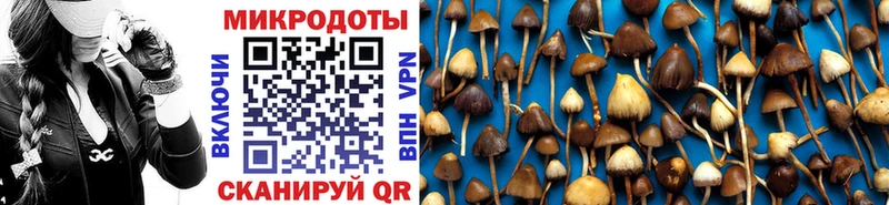 Псилоцибиновые грибы прущие грибы  Братск 