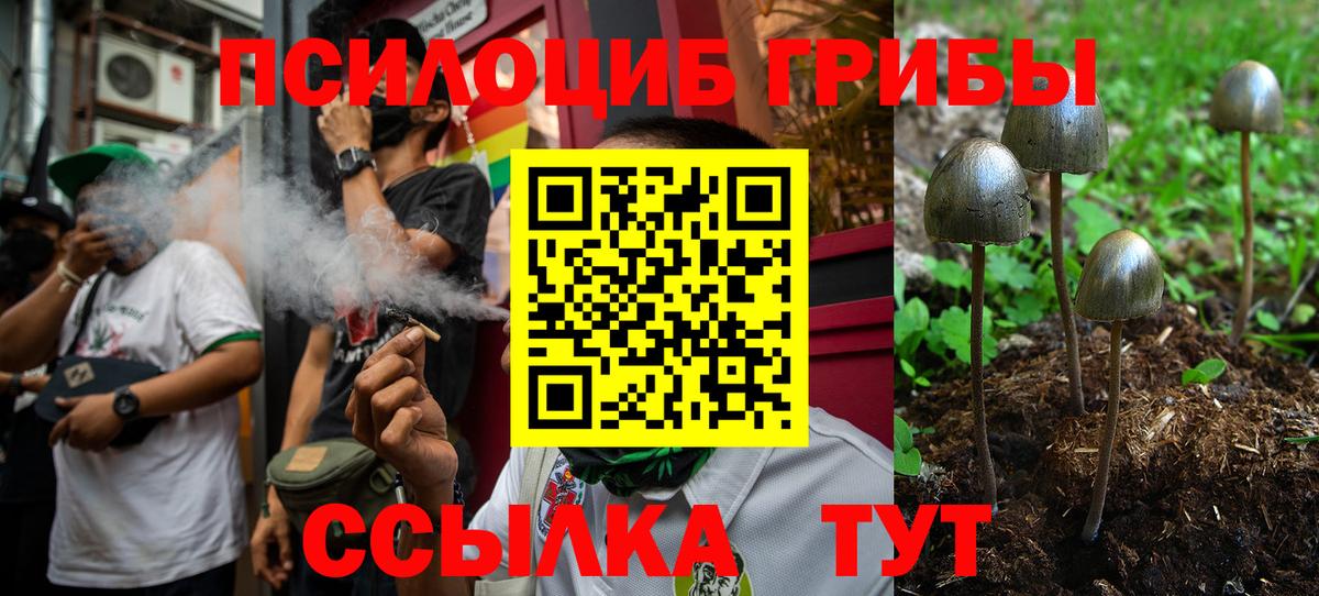 Гашиш  Гашиш  COCAIN  Братск  Alpha PVP СК кристаллы  Канабис  Меф МЯУ МЯУ кристаллы  Вход с VPN  Героин 