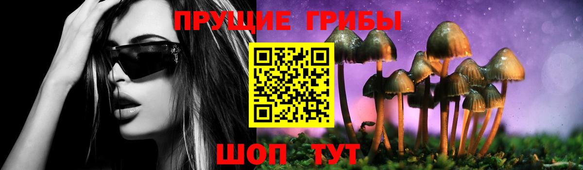Братск  Псилоцибиновые грибы Psilocybine cubensis  Вход с VPN 
